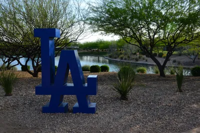 DSC_1680 (Large).JPG